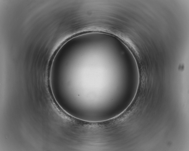 X0000090450896200707201311