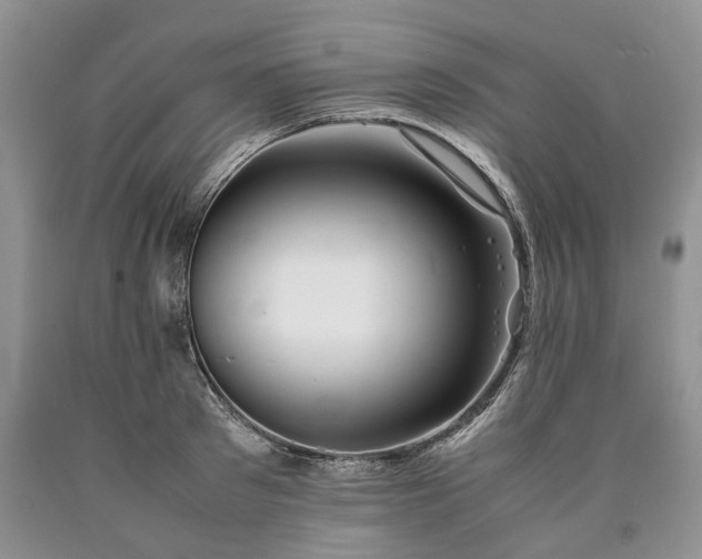 X0000090450897200707201311