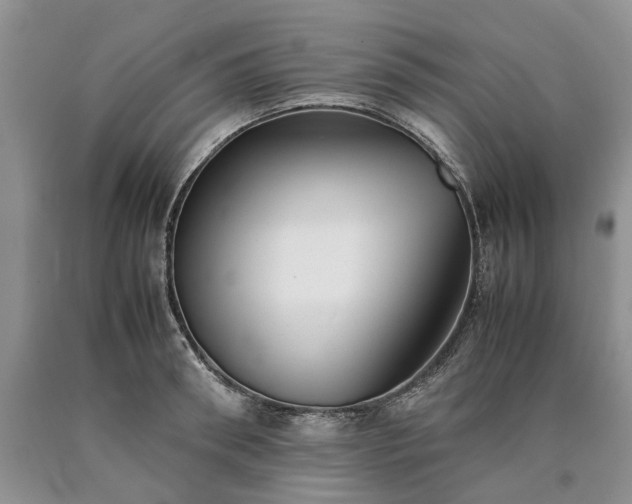 X0000090450898200707201311