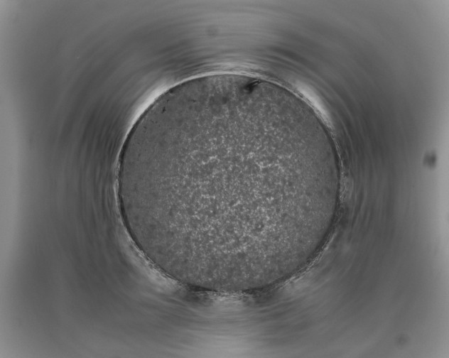 X0000090450899200707201311