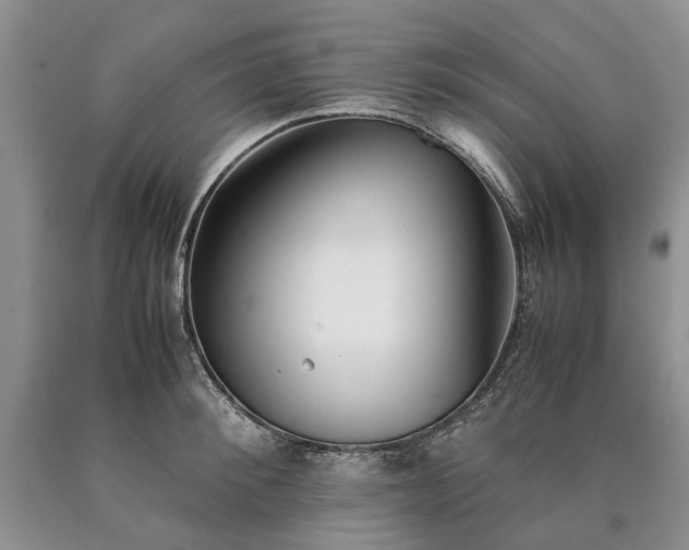 X0000090450900200707201311