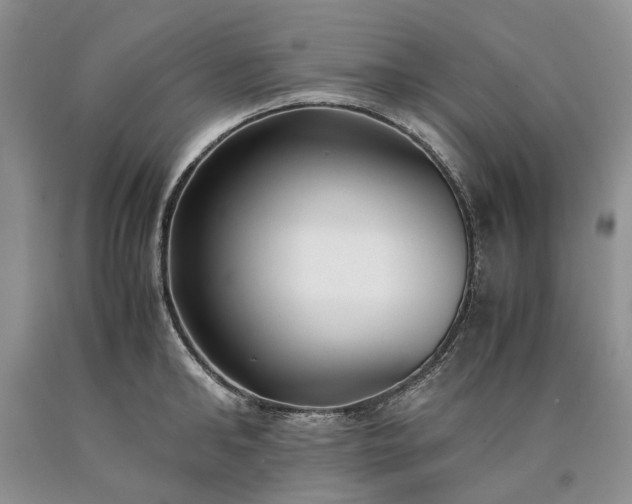 X0000090450902200707201311
