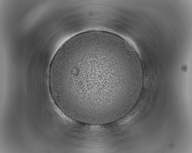 X0000090450903200707201311
