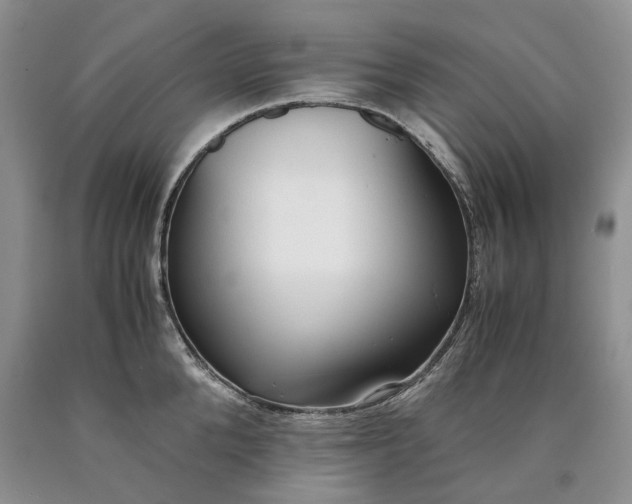 X0000090450904200707201311