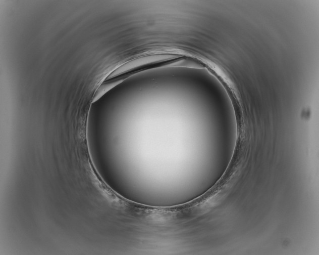 X0000090450905200707201311