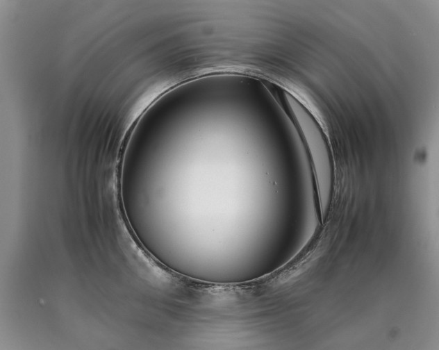X0000090450906200707201311