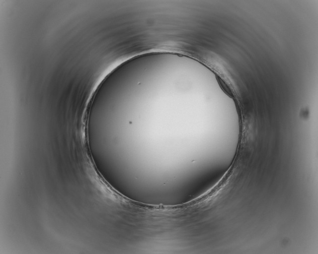 X0000090450908200707201311
