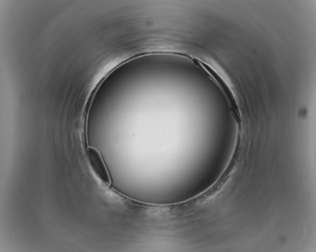 X0000090450909200707201311