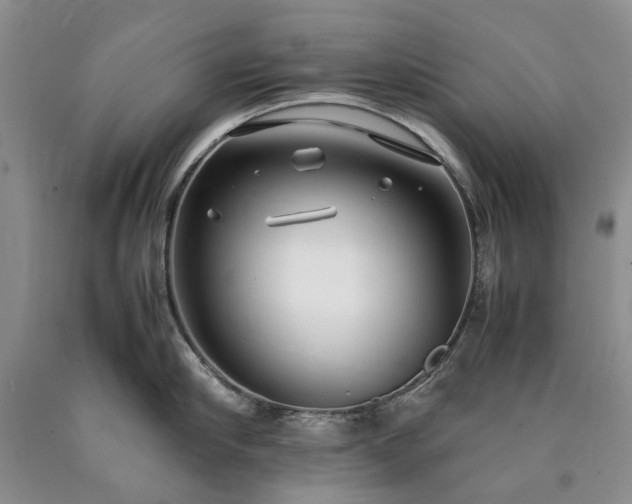 X0000090450910200707201311