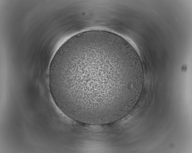 X0000090450911200707201311