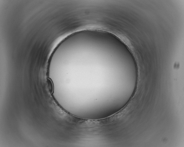 X0000090450912200707201311