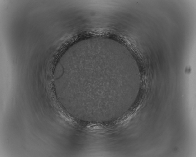 X0000090450913200707201310