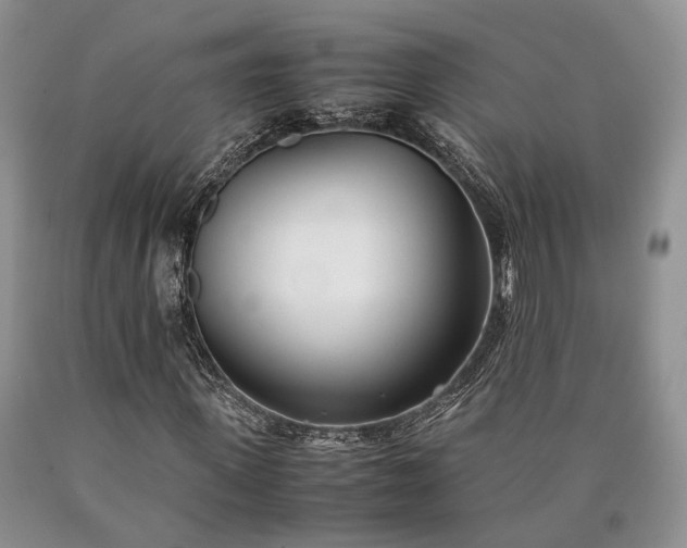 X0000090450915200707201310