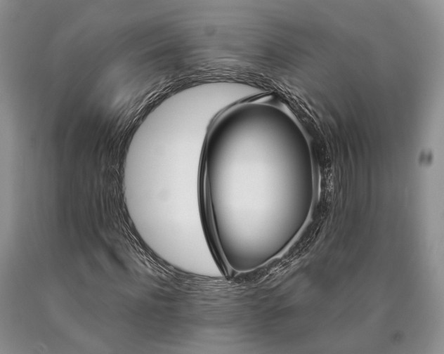 X0000090450916200707201310