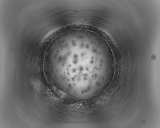 X0000090450919200707201310