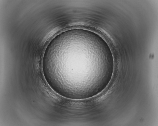 X0000090450921200707201310