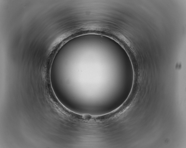 X0000090450922200707201310