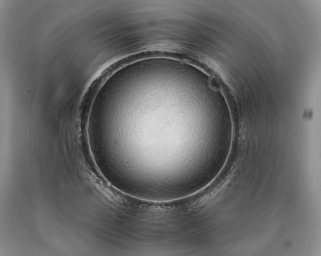X0000090450923200707201310