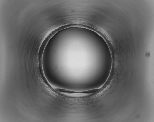 X0000090450924200707201310