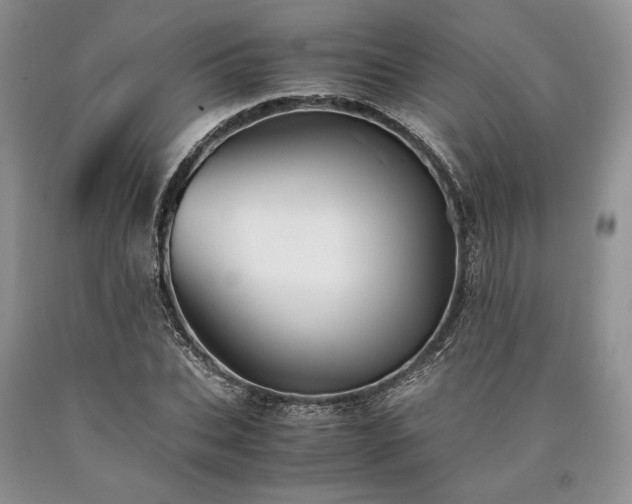 X0000090450927200707201310