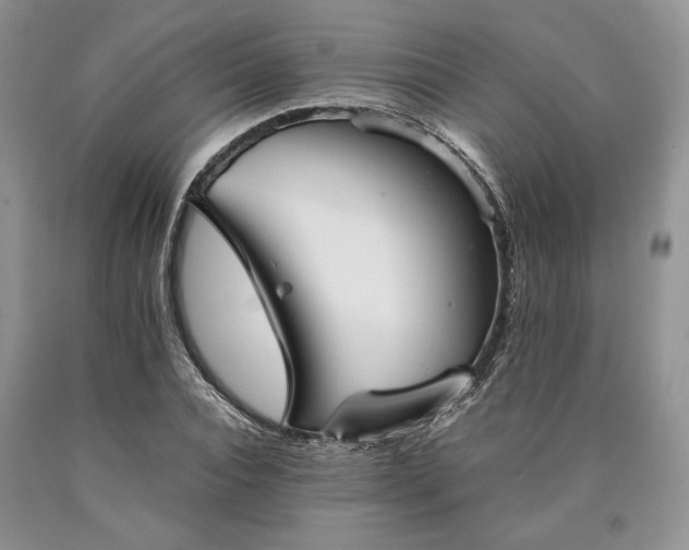 X0000090450928200707201310