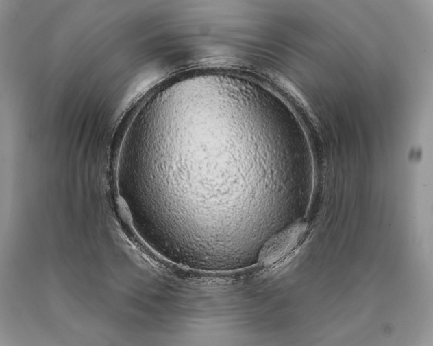 X0000090450930200707201310