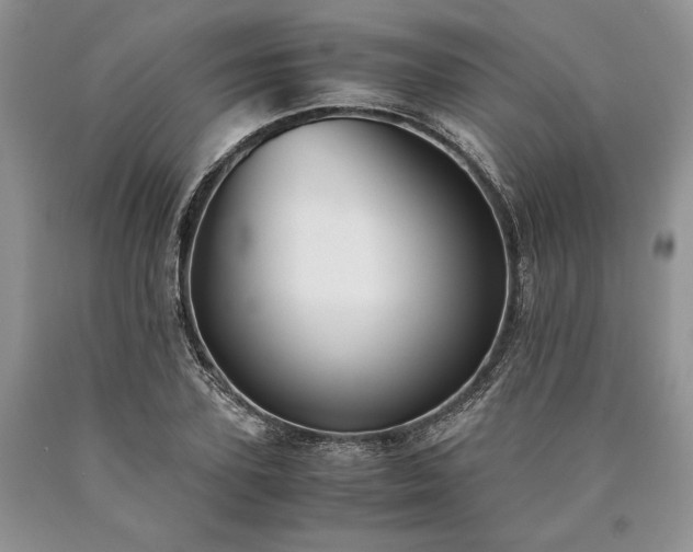 X0000090450931200707201310