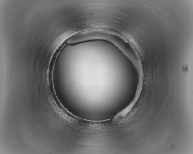 X0000090450932200707201310
