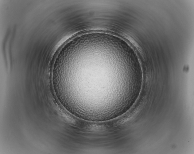 X0000090450933200707201310