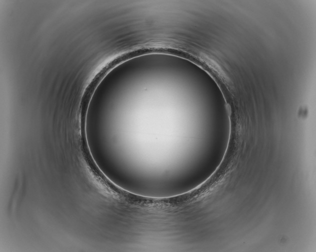 X0000090450934200707201310