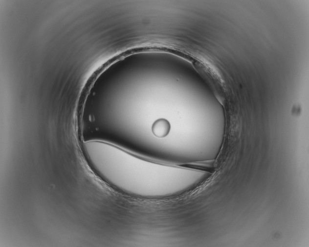 X0000090450936200707201310