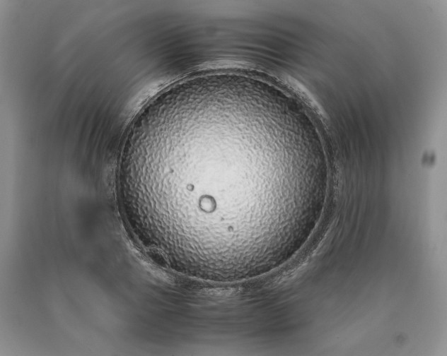 X0000090450937200707201310