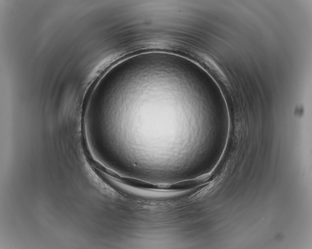 X0000090450938200707201310
