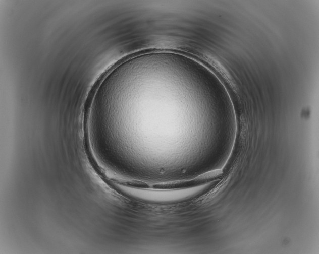 X0000090450939200707201310