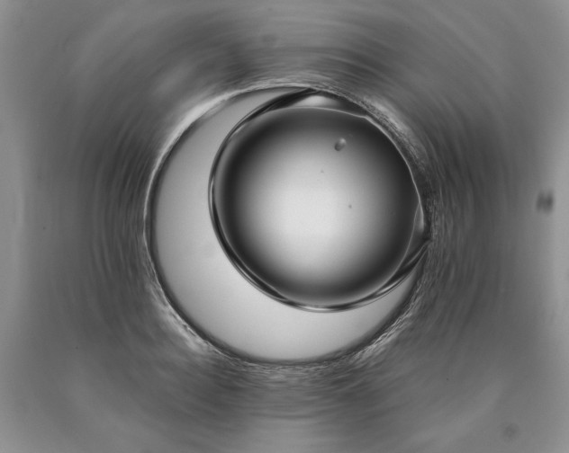 X0000090450940200707201310