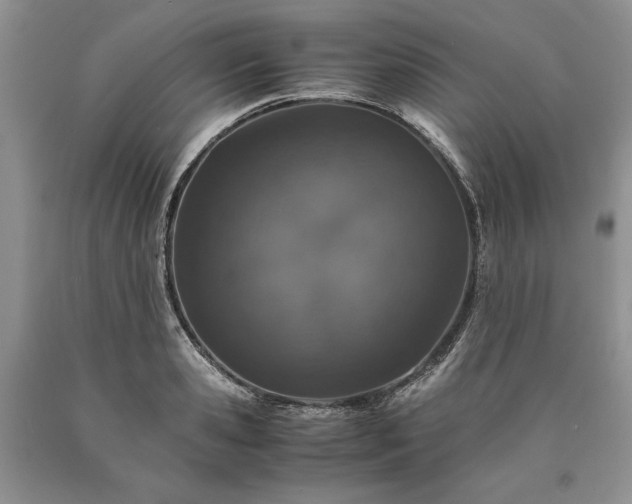 X0000090450941200707201310