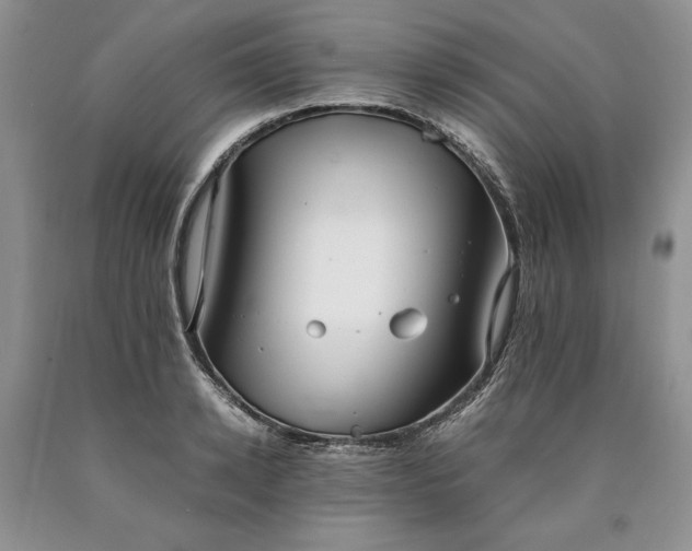 X0000090450942200707201310