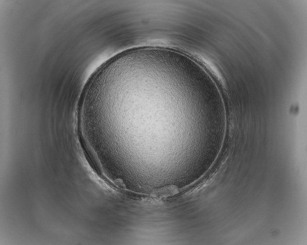 X0000090450944200707201310