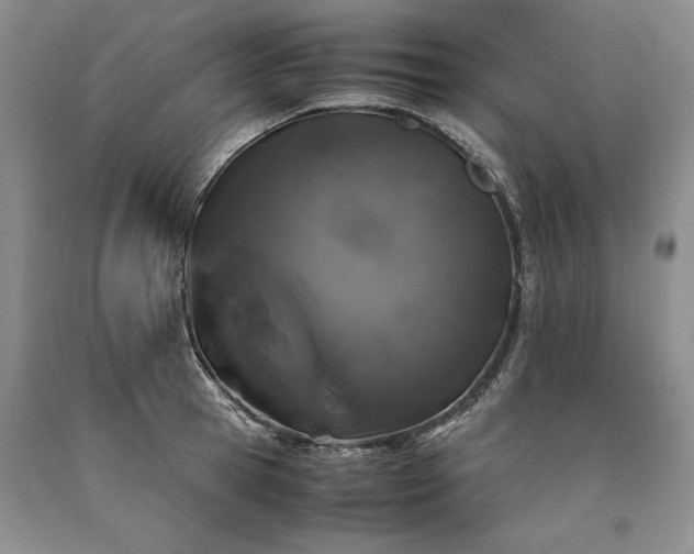 X0000090450945200707201311