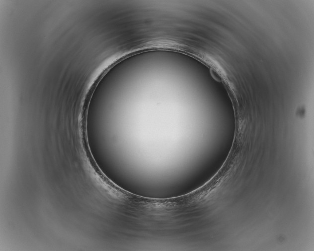 X0000090450947200707201311