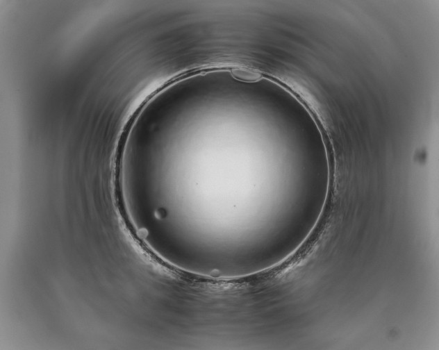 X0000090450949200707201311