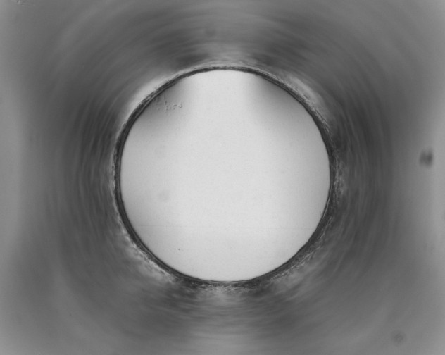 X0000090450950200707201311
