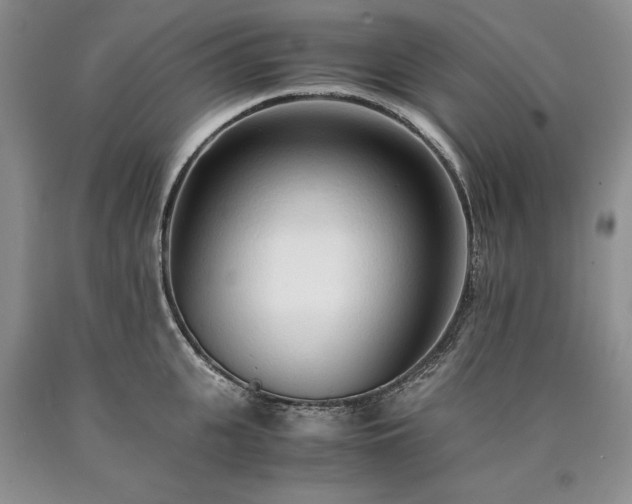 X0000090450951200707201311