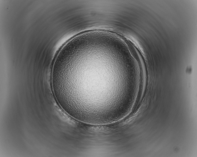 X0000090450952200707201311