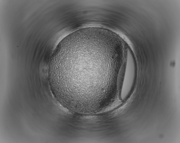 X0000090450953200707201311