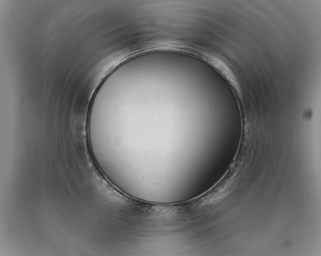 X0000090450954200707201311