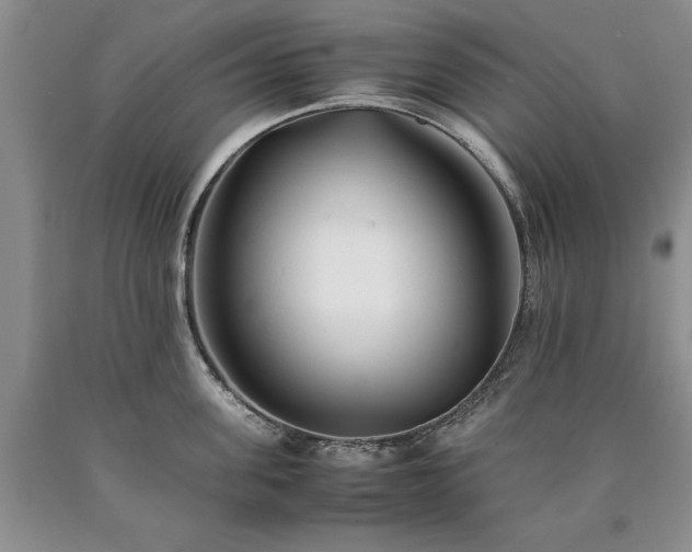 X0000090450955200707201311