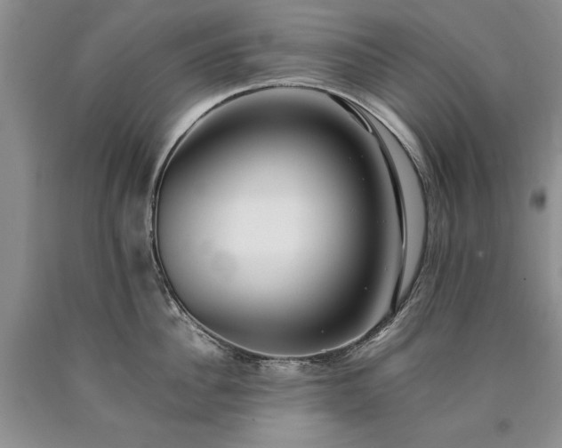 X0000090450956200707201311