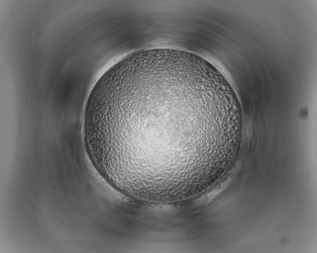 X0000090450957200707201311