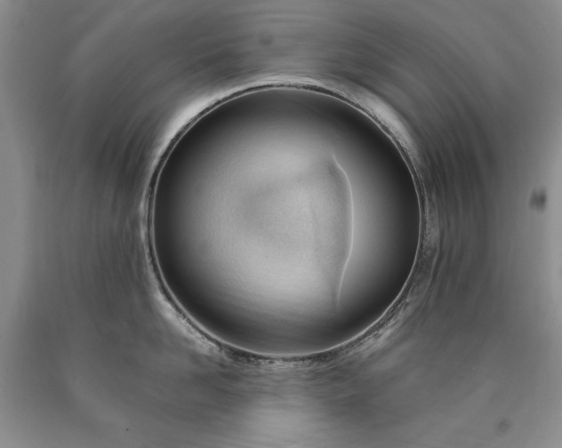 X0000090450958200707201311